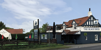 Black Bull