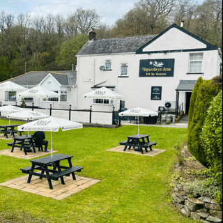 Ynyscedwyn Arms