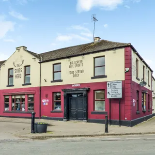 Stags Head