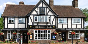 Elm Tree