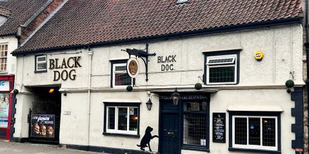 Black Dog