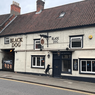 Black Dog