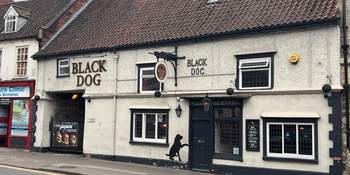 Black Dog