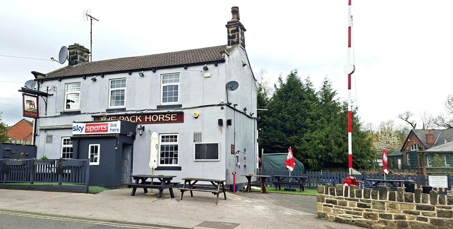 Pack Horse
