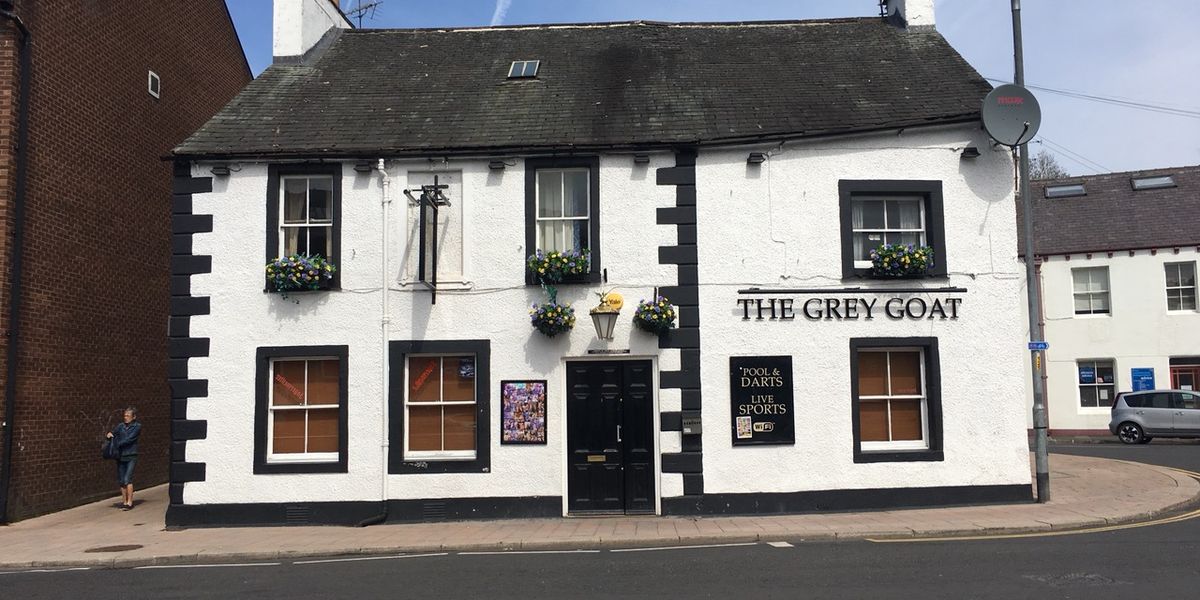 Grey Goat