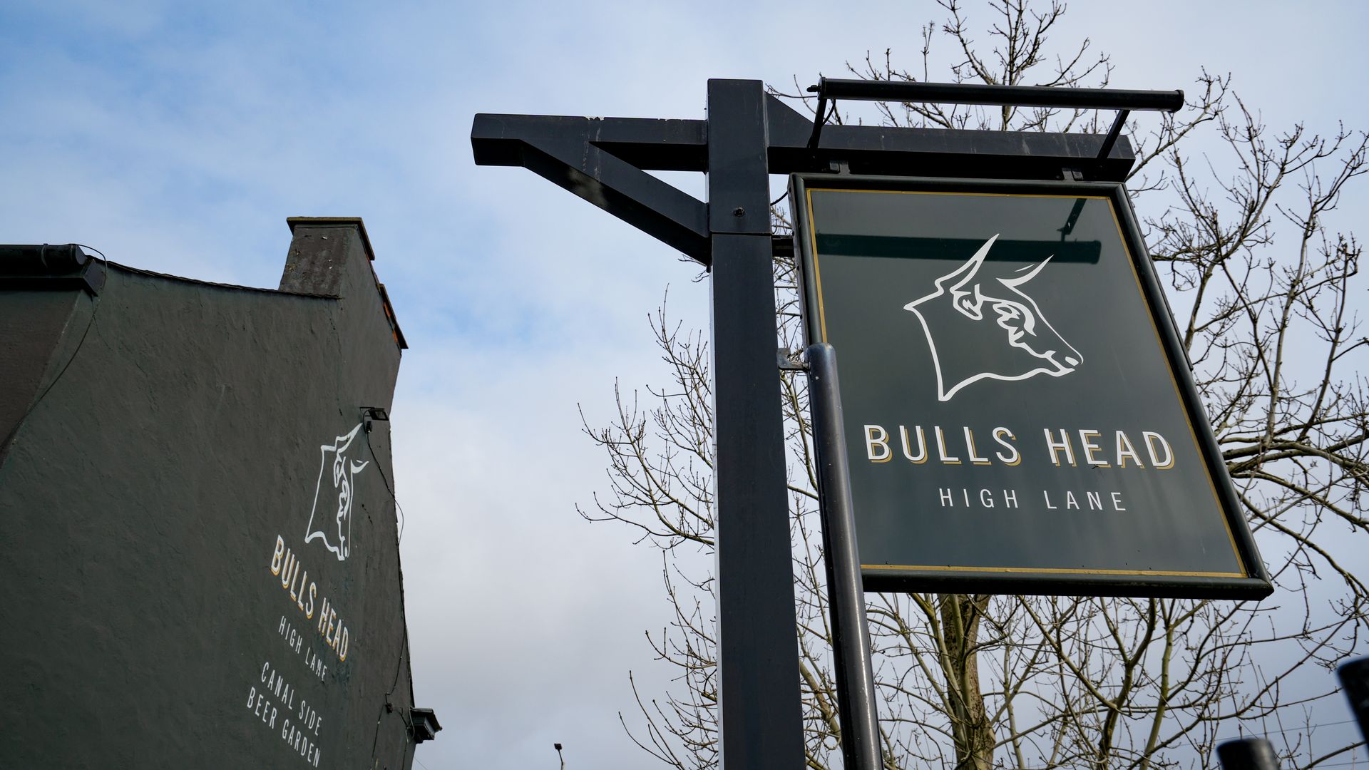 Bulls Head
