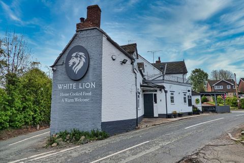 White Lion