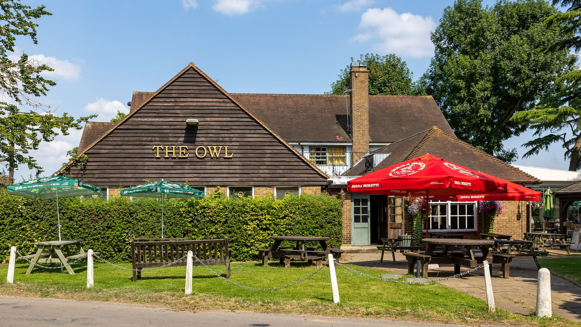 Owl