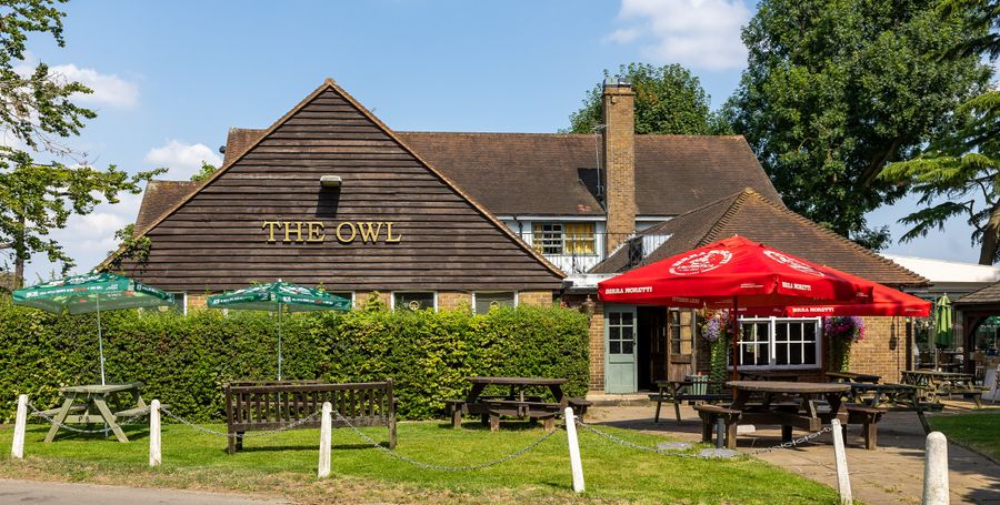Owl