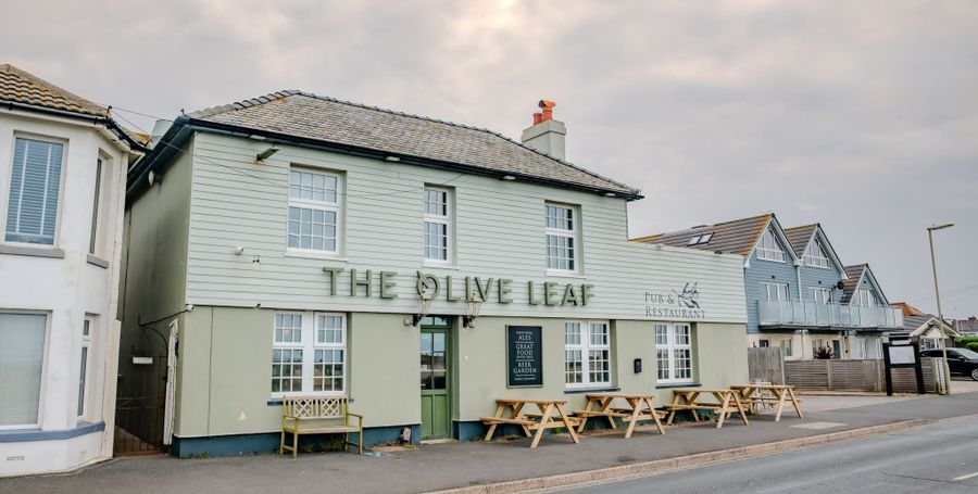 Olive Leaf