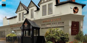 Red Kite