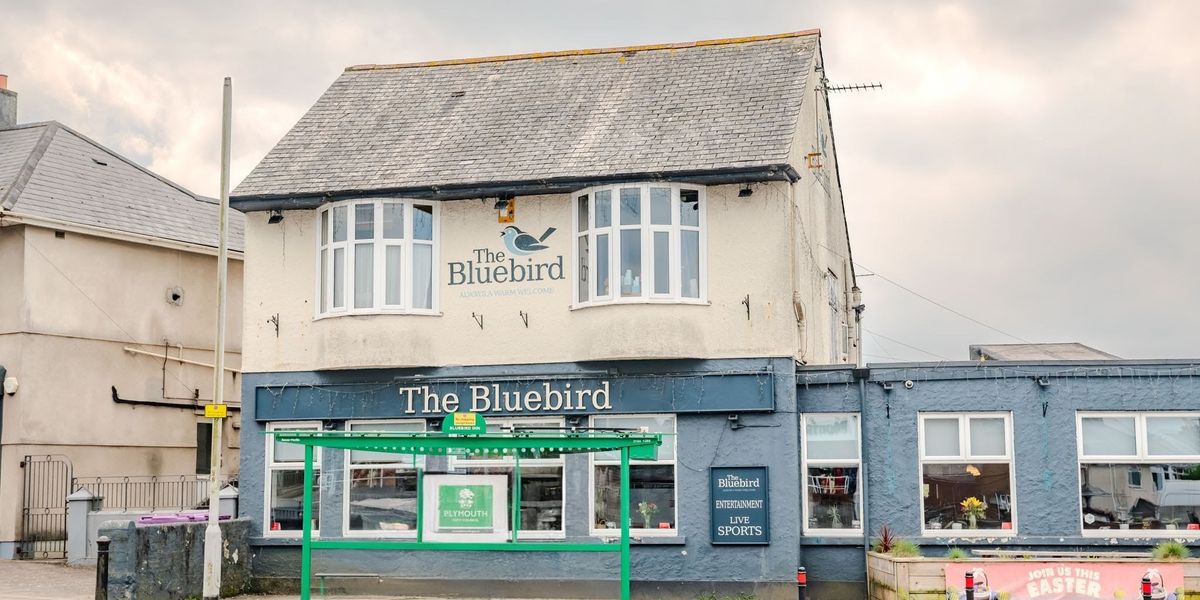 Blue Bird