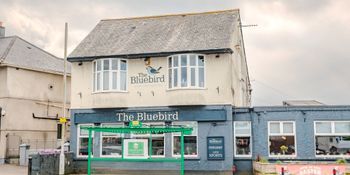 Blue Bird