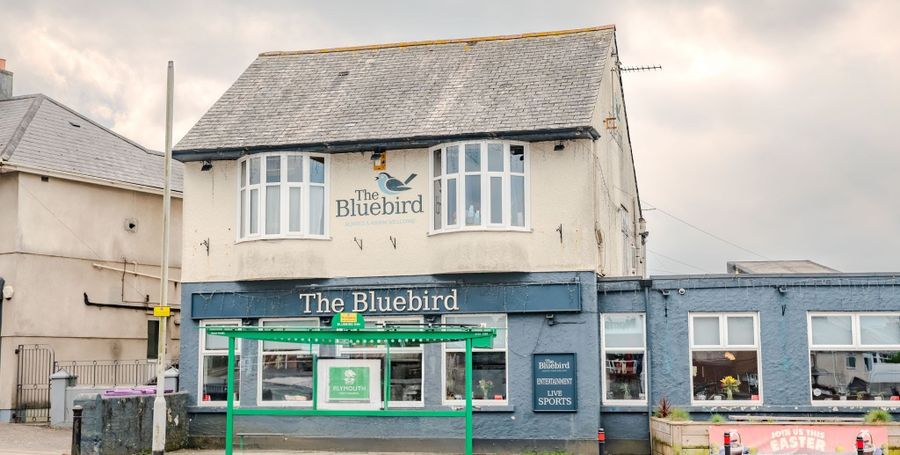 Blue Bird