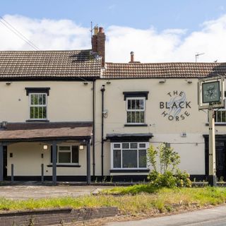 Black Horse