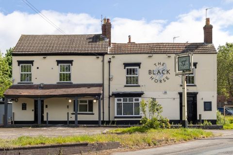 Black Horse