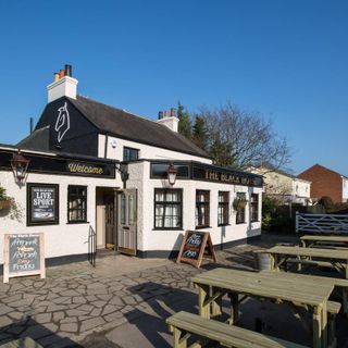 Black Horse