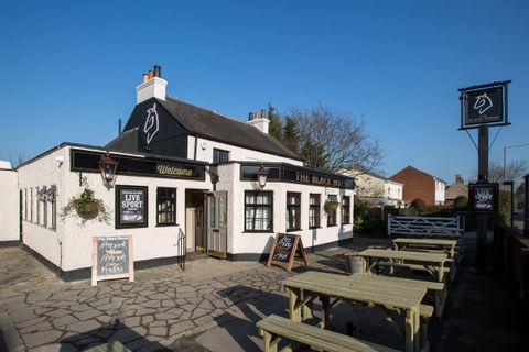 Black Horse