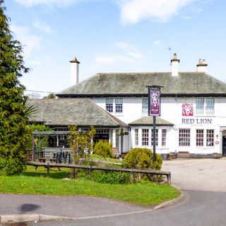 Red Lion