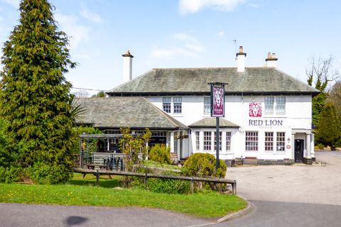 Red Lion