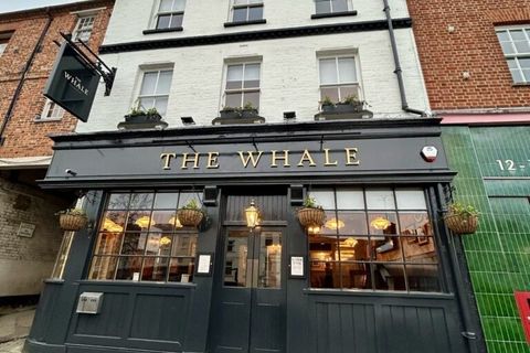 The Whale