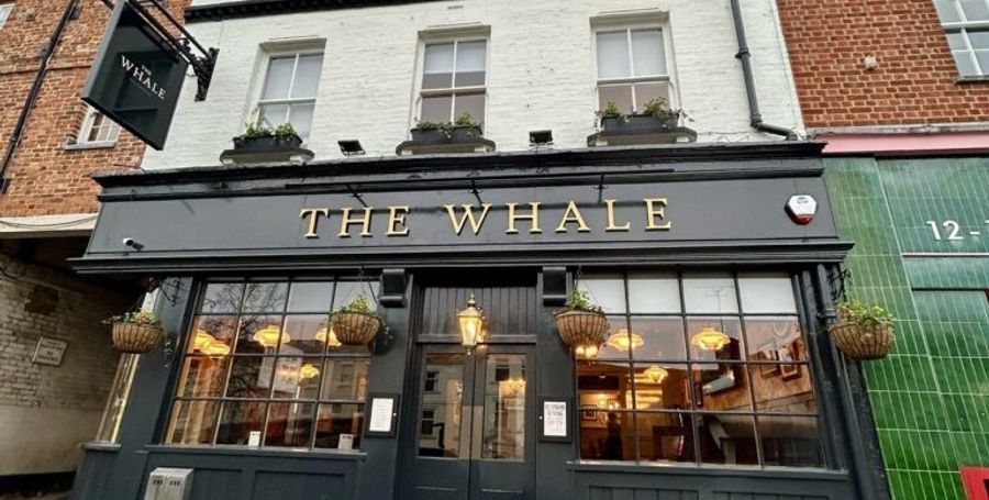 The Whale