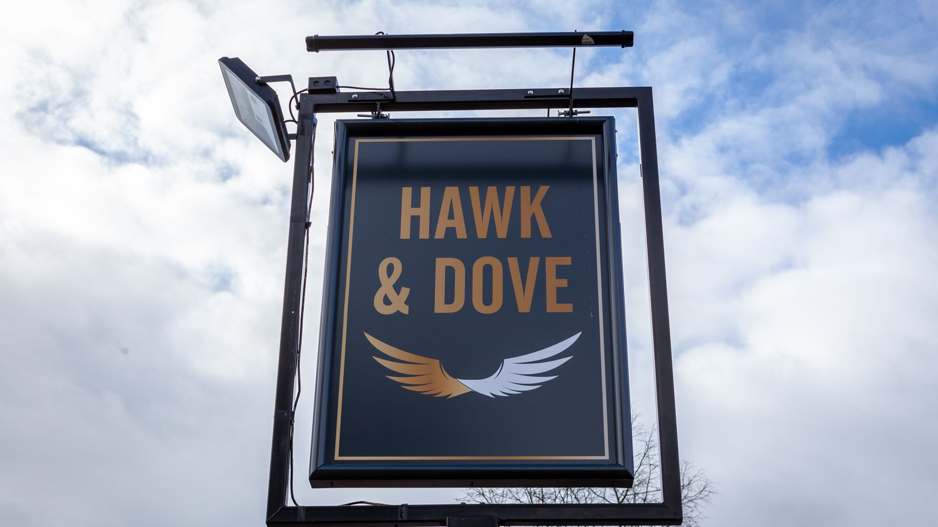 Hawk & Dove