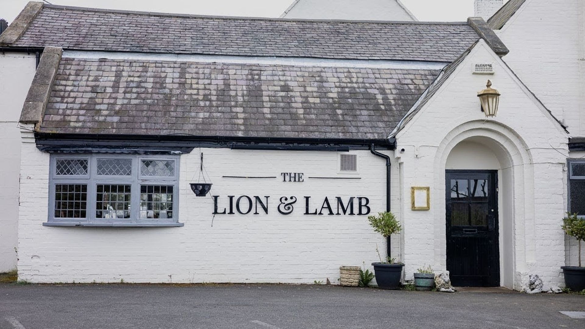 Lion & Lamb