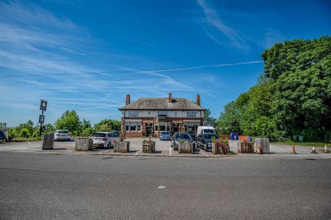 Malt Shovel