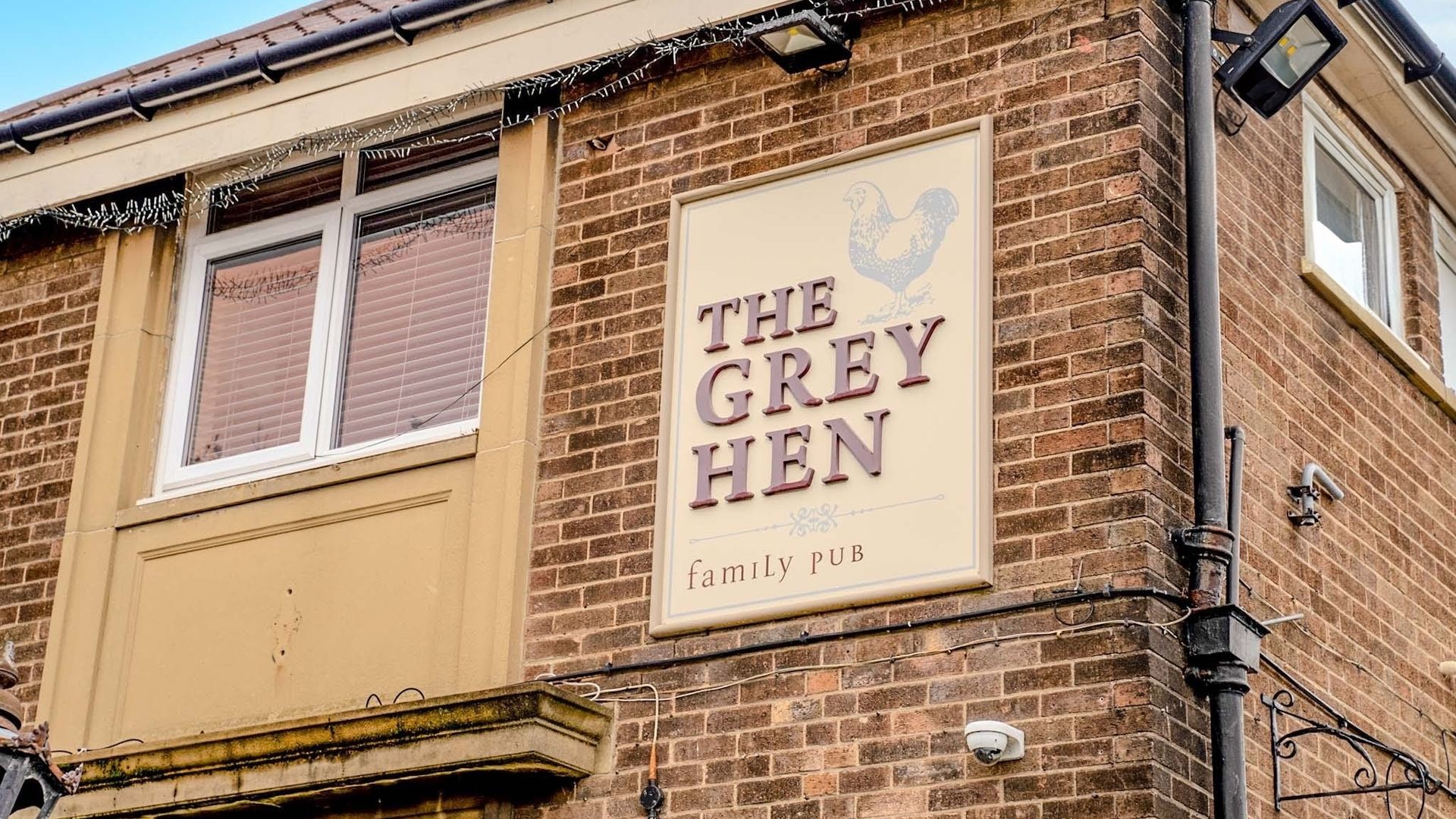 Grey Hen