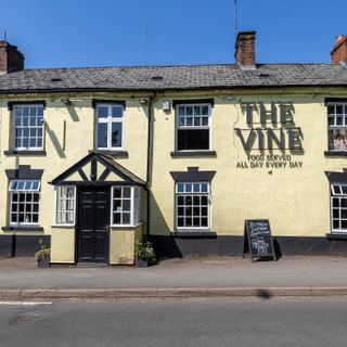 Vine Inn