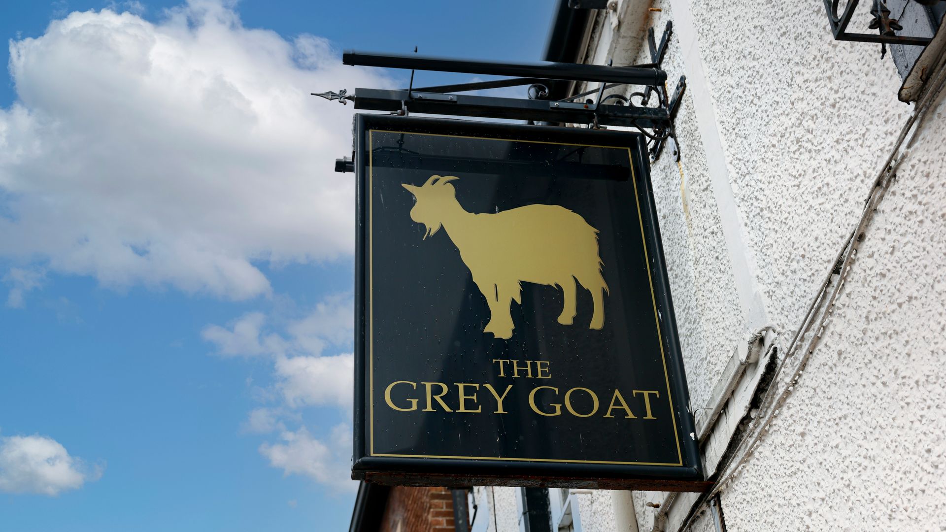 Grey Goat