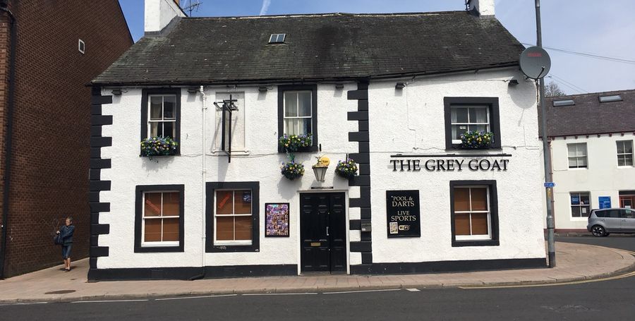 Grey Goat