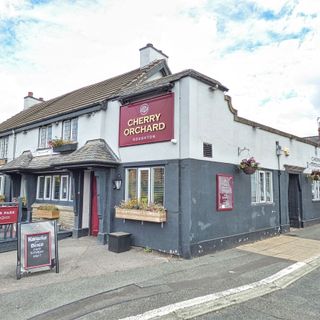 Cherry Orchard