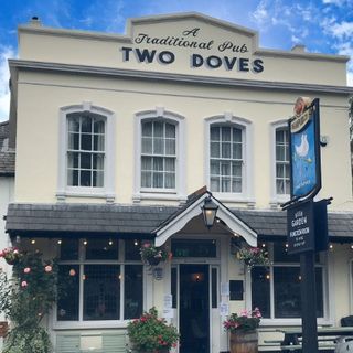 Two Doves