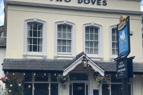 Two Doves