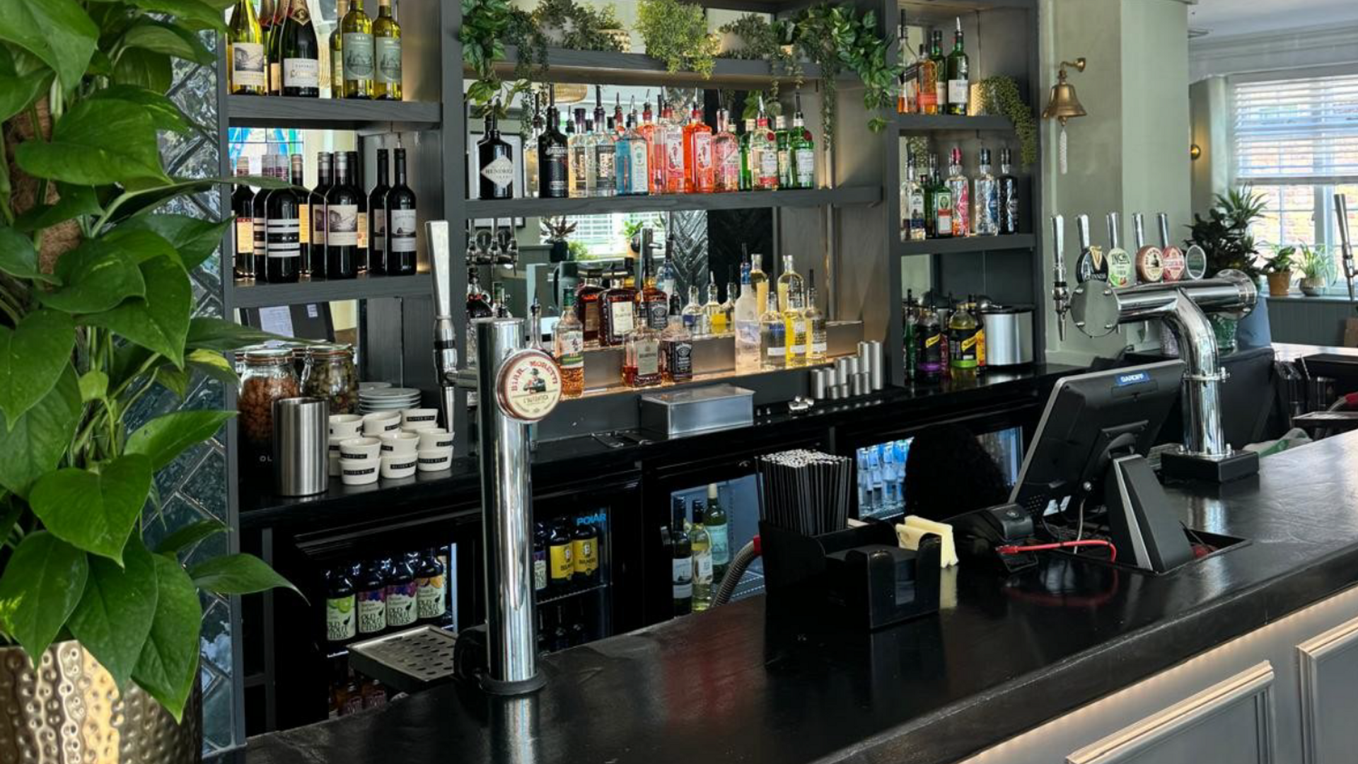 Stag