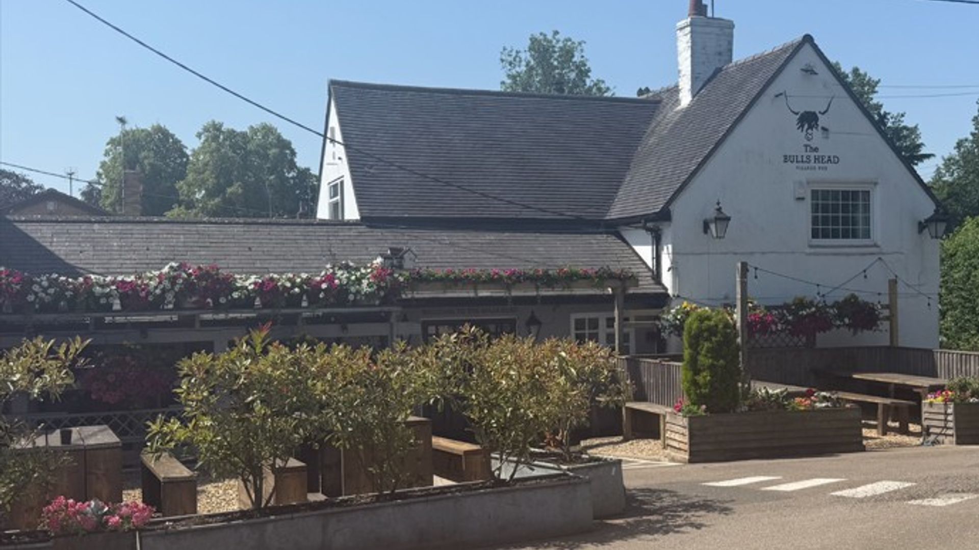 Bulls Head