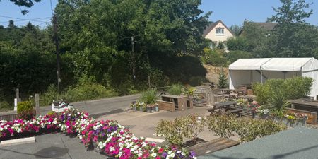 Bulls Head