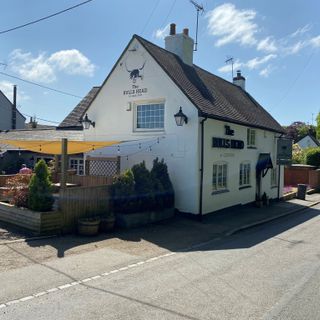 Bulls Head
