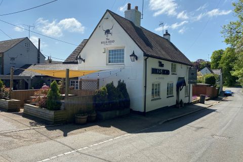 Bulls Head