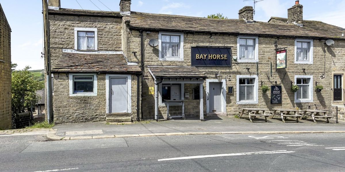 Bay Horse
