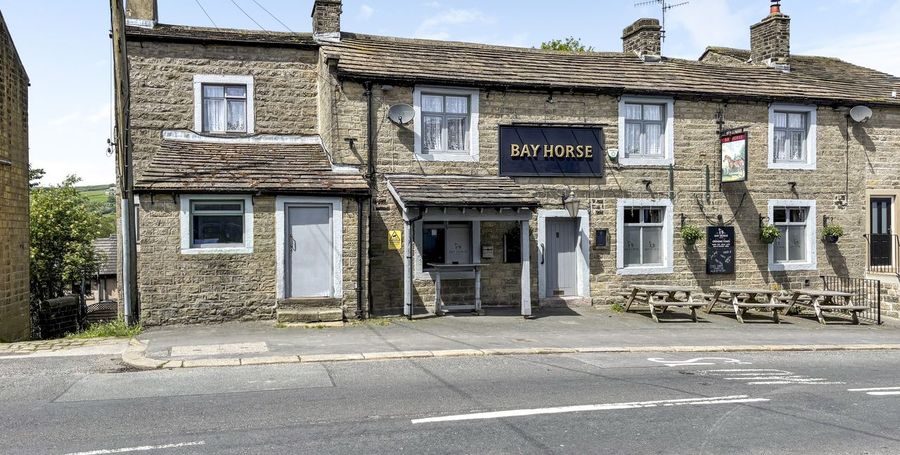 Bay Horse