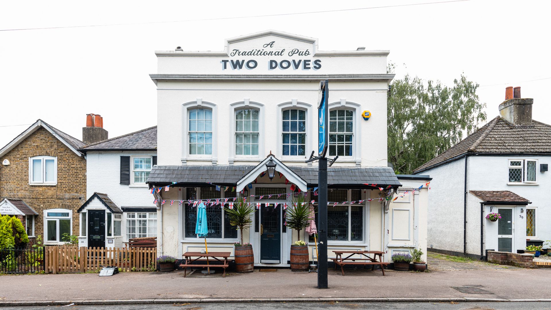 Two Doves