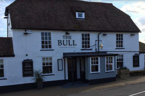 Bull