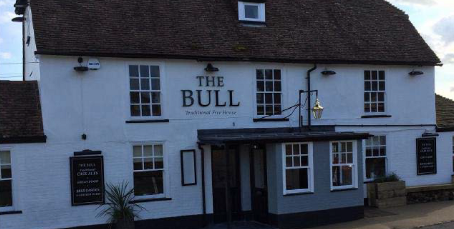 Bull