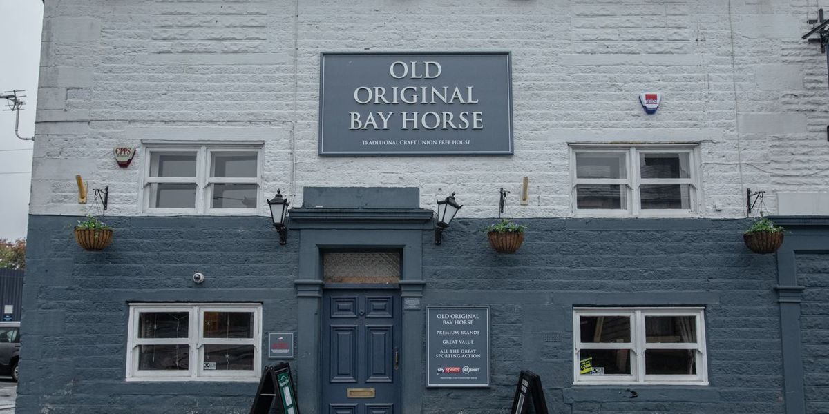 Old Original Bay Horse