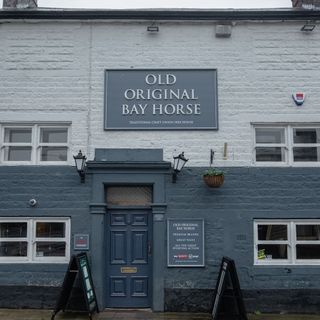 Old Original Bay Horse