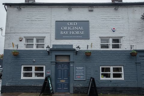 Old Original Bay Horse