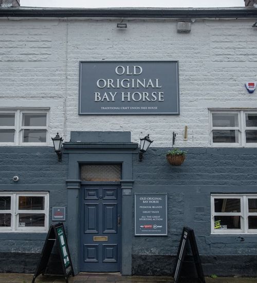Old Original Bay Horse